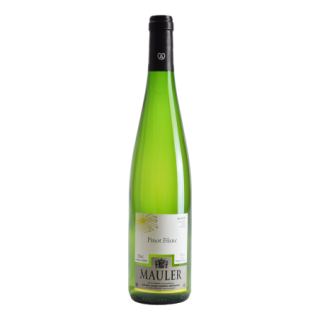 Pinot blanc