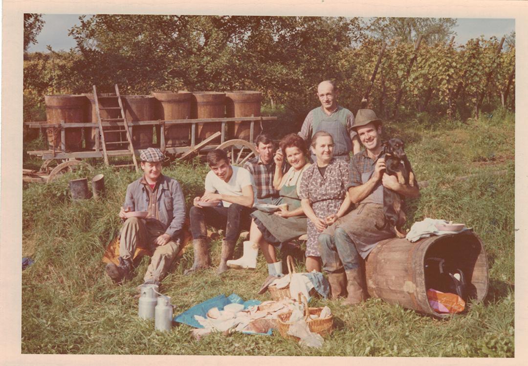 EARL Mauler Jean Paul - Producteur de vins à Mittelwihr (Colmar)