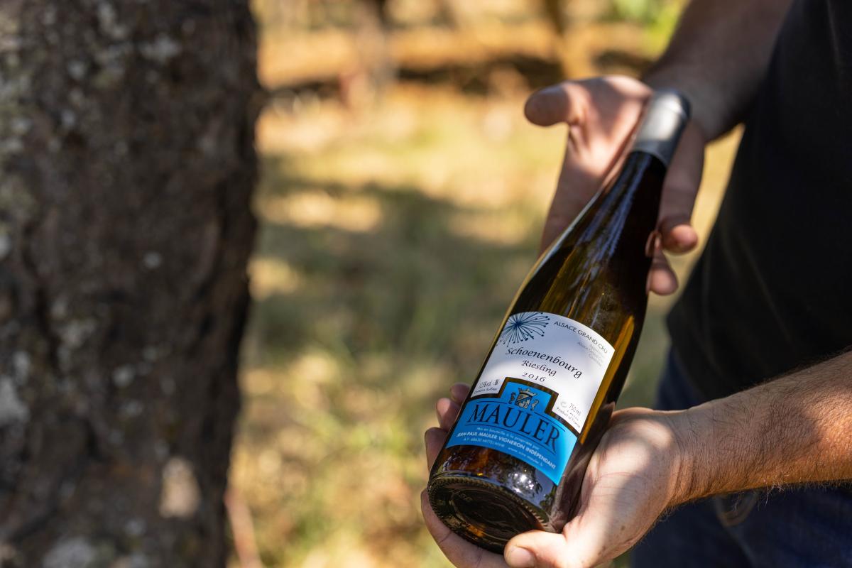 EARL Mauler Jean Paul - Producteur de vins à Mittelwihr (Colmar)