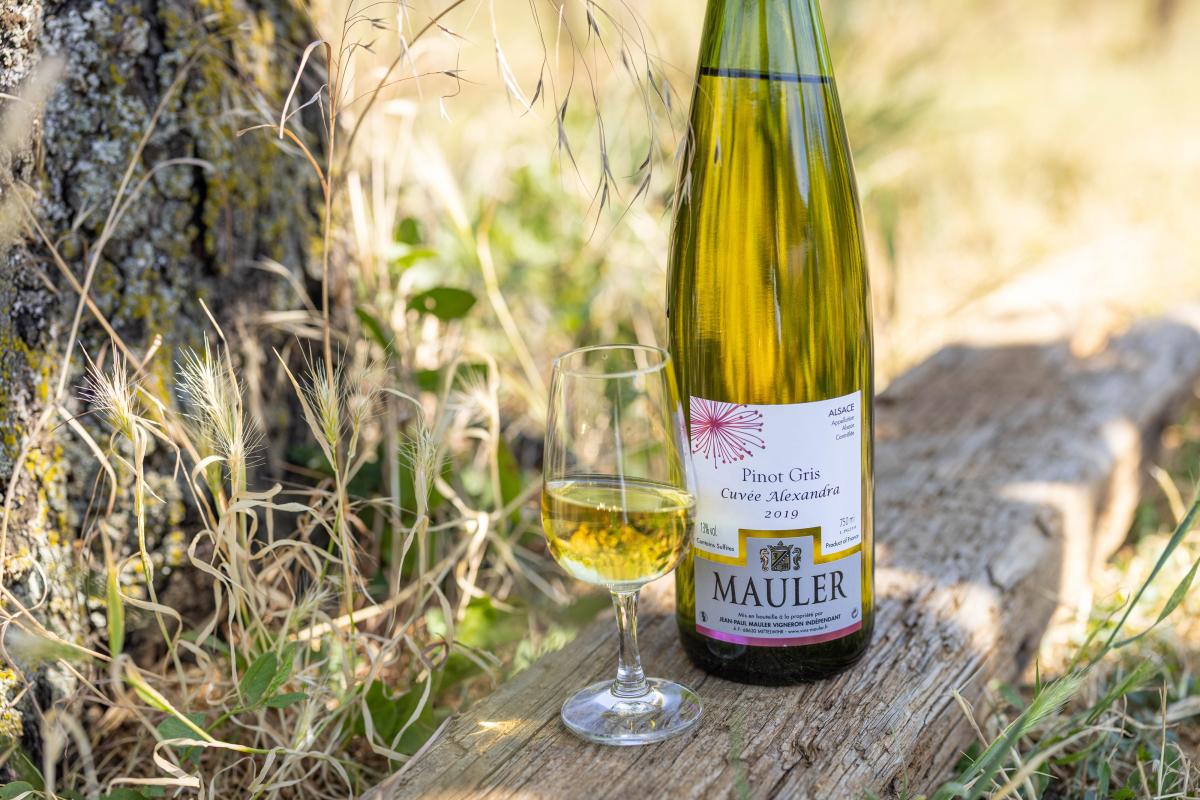 EARL Mauler Jean Paul - Vin blanc Gewurztraminer - Muscat - Riesling à Mittelwihr (Colmar)